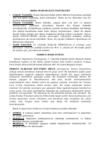 Roma Borçlar.docx